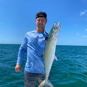 Meet your Posher, Riley